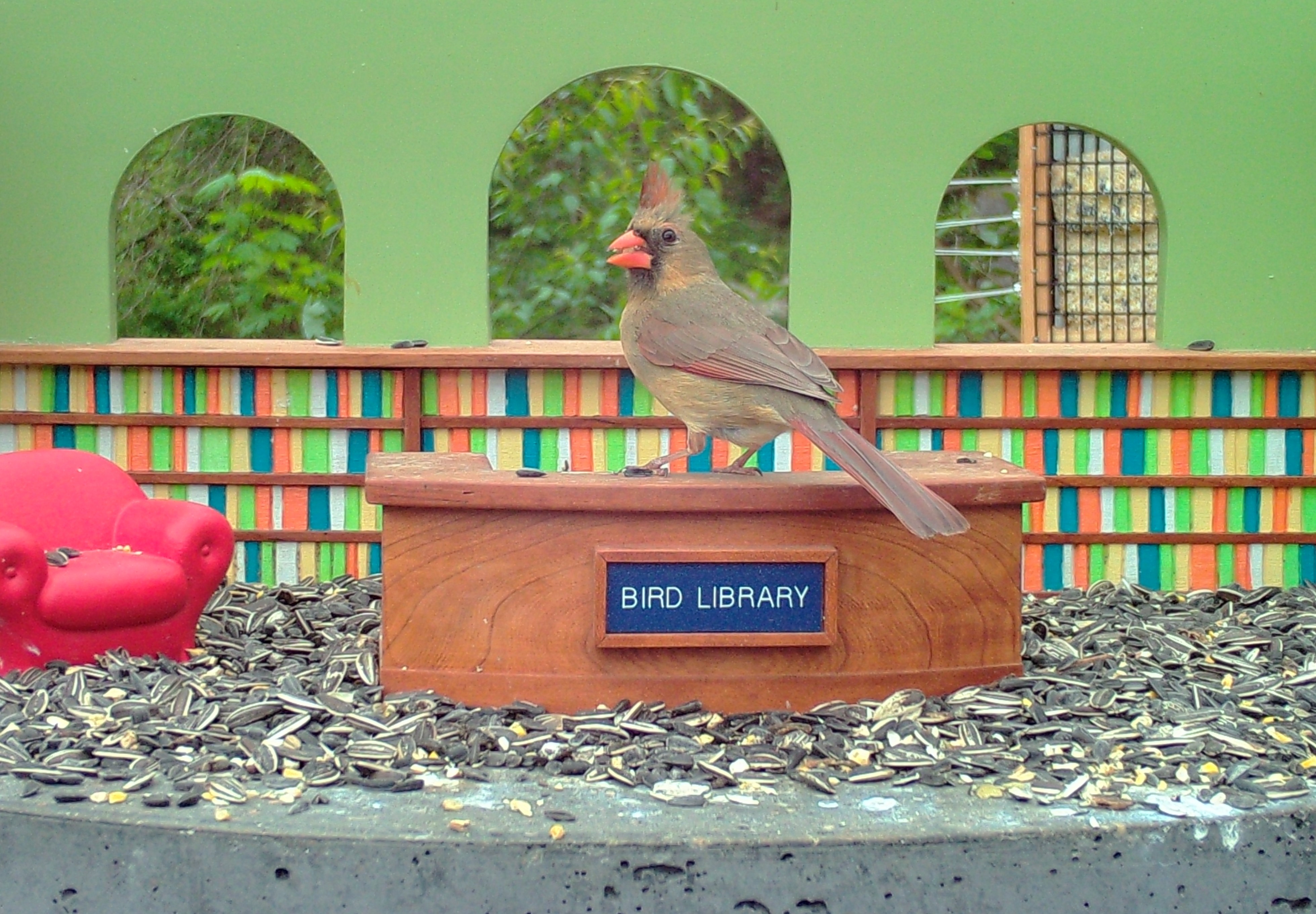 Birds theme. Кормушка библиотека.