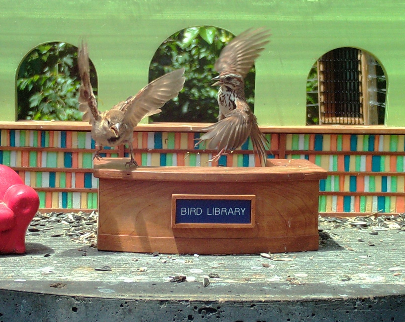 Bird Library