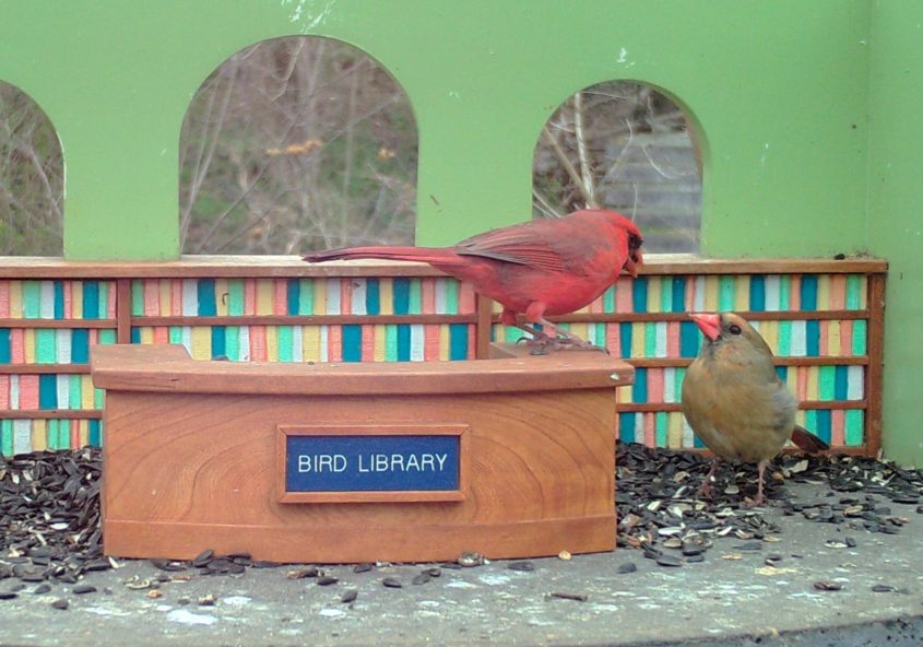 March 2020 – Bird Library