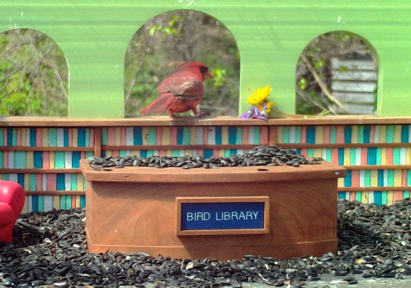 libraryclosures Bird Library