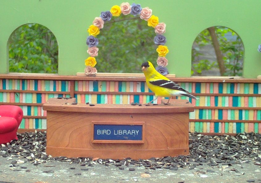 May 2020 – Bird Library