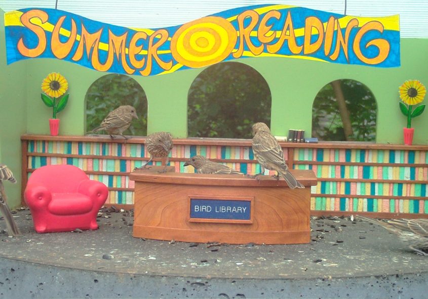 June 2020 – Bird Library