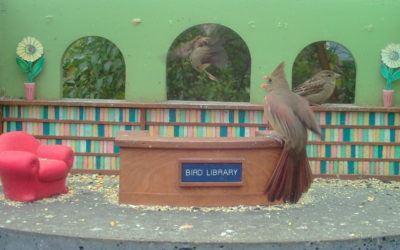 WINGSCAPES BIRDCAM PRO CAMERA