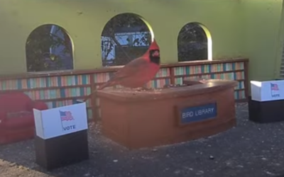 Screenshot-2020-11-03-at-5.34.18-PM