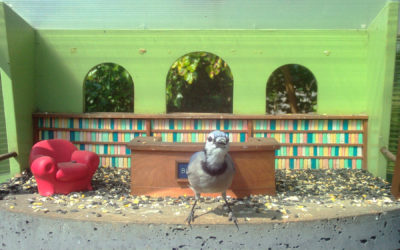 WINGSCAPES BIRDCAM PRO CAMERA