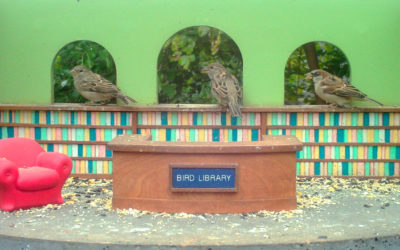 WINGSCAPES BIRDCAM PRO CAMERA