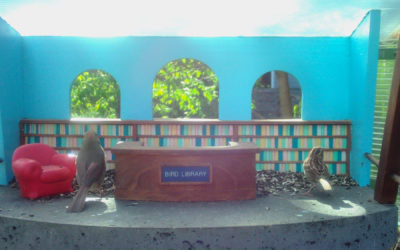 But, soft! what light through yonder window breaks?
Cardinal to the east, and Song Sparrow in the sun.