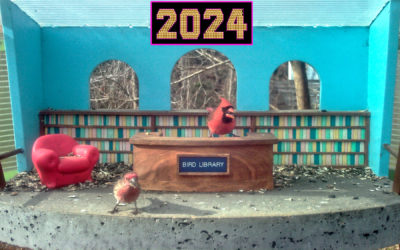 WINGSCAPES BIRDCAM PRO CAMERA