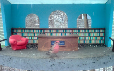 WINGSCAPES BIRDCAM PRO CAMERA